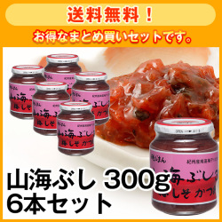【送料無料】山海ぶし 300g 6本セット
