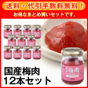 【送料無料】国産梅肉12本セット