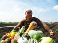 農薬未使用　すこやか野菜セット