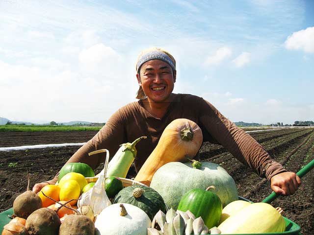 農薬未使用　すこやか野菜セット