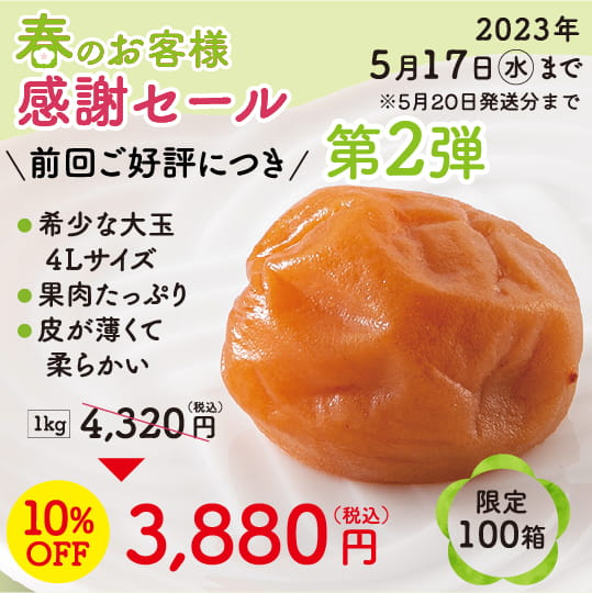 A級品 紀州南高梅　はちみつ梅〈大玉〉