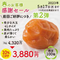 A級品 紀州南高梅　はちみつ梅〈大玉〉