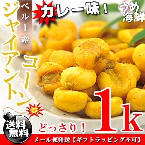 ジャイアントコーン カレー味 1kg（500g×2個入り）【送料無料】