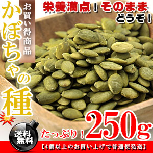 かぼちゃの種 250g  【送料無料】無塩 無油 ロースト 送料無料