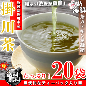 深みのあるコク♪静岡県産 掛川茶 深蒸し茶 ティーパック 20袋【送料無料】【掛川茶】【静岡茶】※代金引換不可