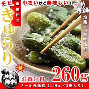 ちび きゅうり 塩麹漬 260g 胡瓜 漬物 送料無料