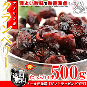 【送料無料】 ドライクランベリー ( アメリカ産 ) 500g クランベリー ドライ ベリー ドライフルーツ ドライ ぶどう フルーツ スイーツ くらんべりー 果物 葡萄 菓子材料