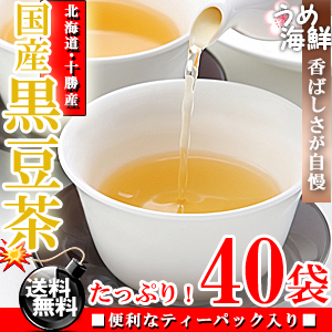 香ばしい香りが自慢♪国産 黒豆茶 ティーバッグ 40袋（20袋×2個）【送料無料】【黒大豆】【健康茶】※代金引換不可