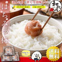 梅干し はちみつ 訳あり はちみつ梅干し 1.2kg（400g×3個） 塩分8％ つぶれ梅 うめぼし 国産 梅干 紀州南高梅 はちみつ漬け 熱中症対策 誕生日 プチギフト