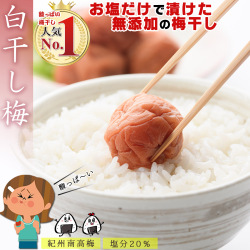 紀州南高梅 訳あり 梅干し 白干し梅 1.2kg [送料無料]【無添加】【ギフト】