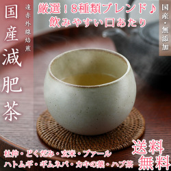 減肥茶 国産 ティーバッグ 20袋 8種類ブレンド 健康茶 げんぴ茶 お茶 ギフト 水出し可能