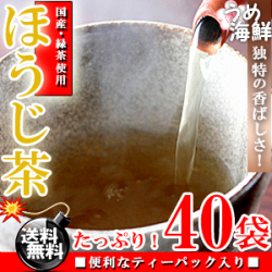 独特の香ばしさ♪国産 焙煎 ほうじ茶 ティーバッグ 40袋（20袋×2個）【送料無料】【日本茶】【健康茶】※代金引換不可