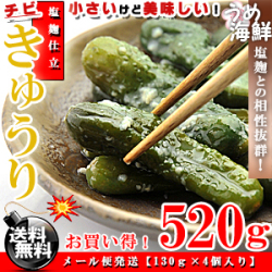 ちび きゅうり 塩麹漬 520g 胡瓜 漬物 送料無料