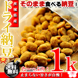 【送料無料】 茨城県産 無添加 ドライ納豆 1kg(500g×2個) うす塩味 国産 乾燥納豆 納豆 お菓子 おやつ おつまみ なっとう 納豆ドライフルーツ ナットウキナーゼ