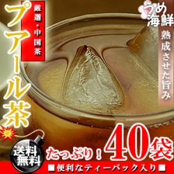 熟成した旨さ♪ プアール茶 ティーバッグ 40袋（20袋×2個）【送料無料】【プーアル茶】【健康茶】※代金引換不可