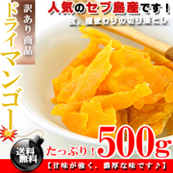 セブ島 ドライマンゴー たっぷり 500g【切り落とし 訳あり】【送料無料】※代金引換不可