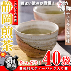 爽やかな香り♪静岡県産 煎茶 ティーバッグ 40袋（20袋×2個）【送料無料】【静岡茶】【日本茶】※代金引換不可