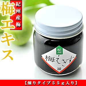 梅肉エキス 55g｜紀州南高梅使用・国産無添加の練りタイプ【うめ海鮮】
