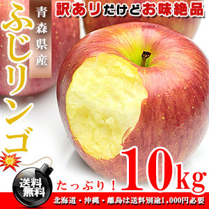 青森県産 ふじりんご お徳用 10kg [訳あり][送料無料］【ギフト】