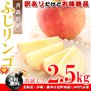 青森県産 ふじりんご お徳用 2.5kg [訳あり][送料無料］【ギフト】