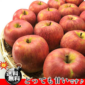 青森県産　フジりんご　約10キロ 青森県産 ふじりんご お徳用 10kg [訳あり][送料無料］【ギフト】