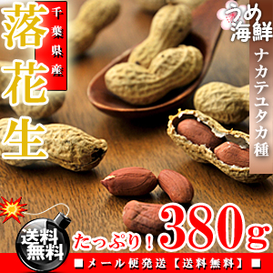 知る人ぞ知る！千葉県産 落花生 ナカテユタカ お徳用 380g【送料無料】【ラッカセイ】※代金引換不可