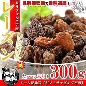 レーズン 300g 無添加 ほしぶどう 送料無料