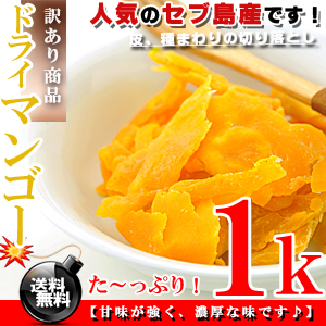 セブ島 ドライマンゴー たっぷり 1kg（500g×2個）【切り落とし 訳あり】【送料無料】※代金引換不可