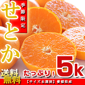 愛媛県産 せとか お徳用 5kg （サイズ未選別）【送料無料】【セトカ】※代金引換不可 F