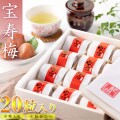 お歳暮ギフト 高級 梅干し 宝寿梅 20粒 A級品 個包装 （ のし付き 木箱入り 和紙包み 紀州杉使用 ）塩分10% うす塩仕上げ お歳暮 ギフト