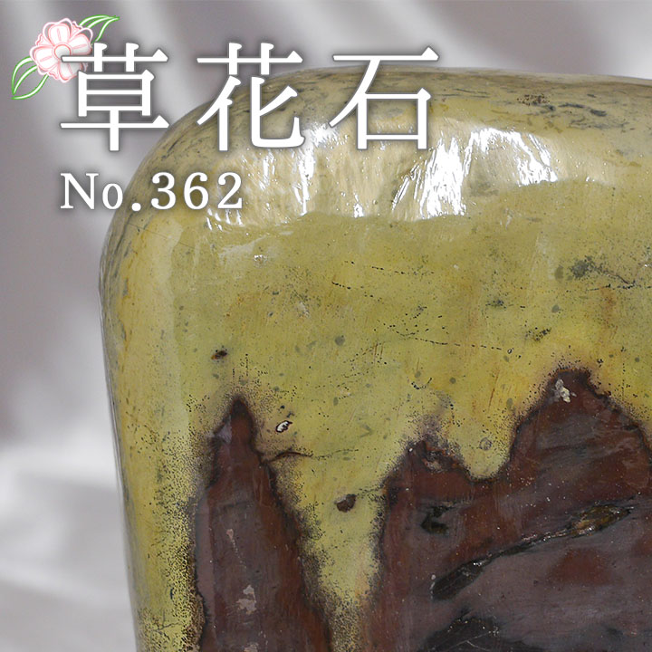ピクチャーストーン 草花石No.362（観賞用鉱石）