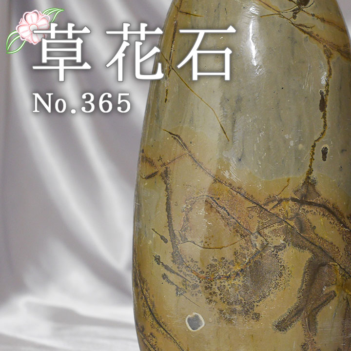 ピクチャーストーン 草花石No.365（観賞用鉱石）