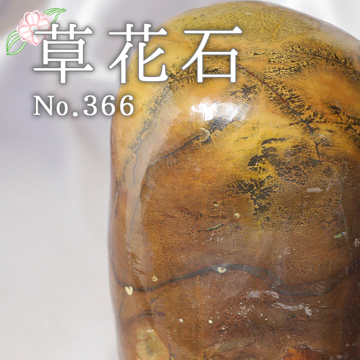 ピクチャーストーン 草花石No.366（観賞用鉱石）