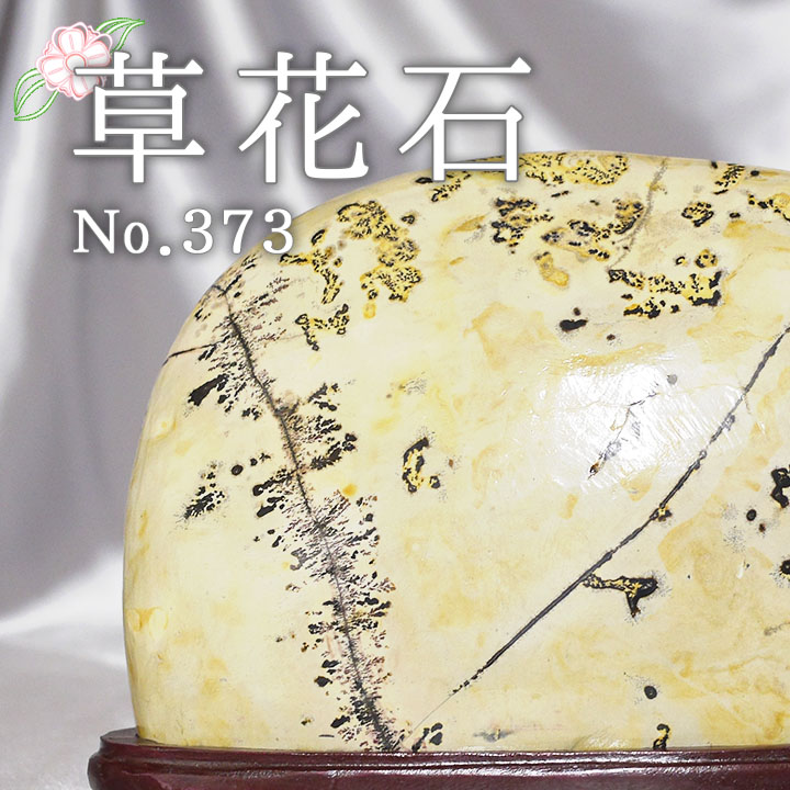 ピクチャーストーン 草花石No.373（観賞用鉱石）