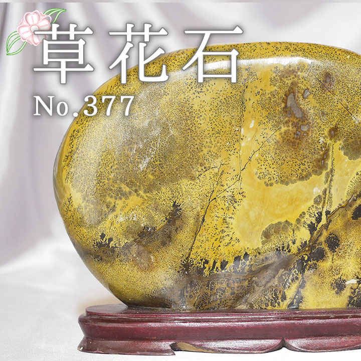 ピクチャーストーン 草花石No.377（観賞用鉱石）