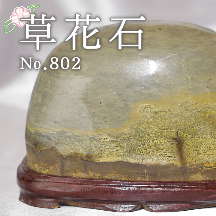 ピクチャーストーン 草花石No.802（観賞用鉱石）