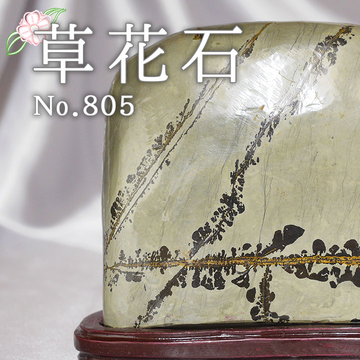ピクチャーストーン 草花石No.805（観賞用鉱石）