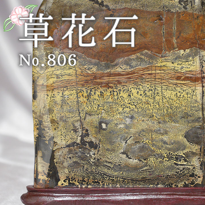 ピクチャーストーン 草花石No.806（観賞用鉱石）