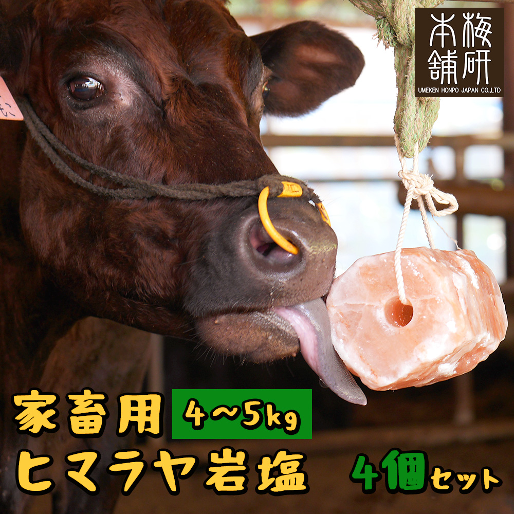 家畜用 ヒマラヤ岩塩