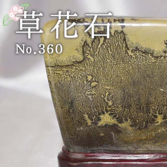 ピクチャーストーン】草花石No.360（観賞用鉱石）
