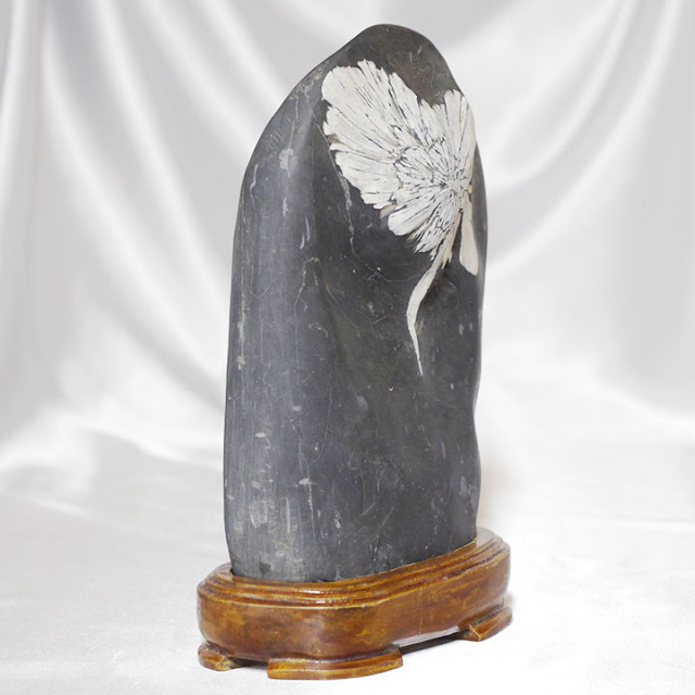 天然石 こころなし 鑑賞石 梅花石 置物 重さ約2222g VAZK 売買された  