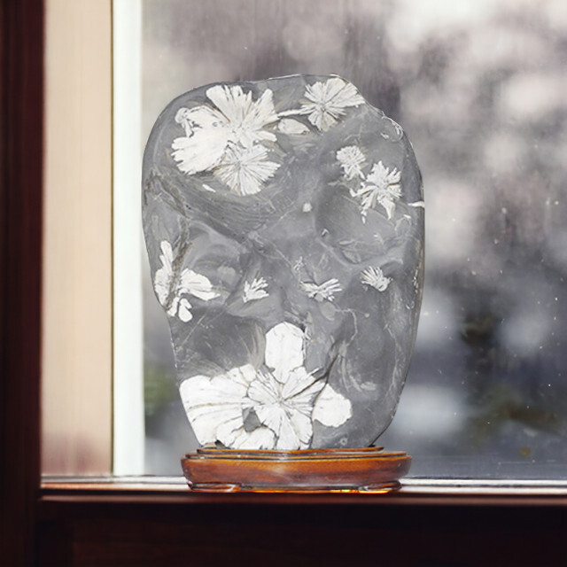 菊花石 No.263 【鑑賞用鉱石】 高さ:約22cm 幅:約14cm 重さ:約2.5kg パワーストーン 天然石 玄関 リビング 置物 飾り 鑑賞石  スピリチュアル