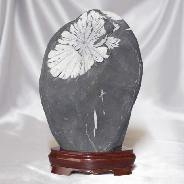 菊花石 No.265 【鑑賞用鉱石】高さ:約22cm 幅:約15cm 重さ:約3.3kg 