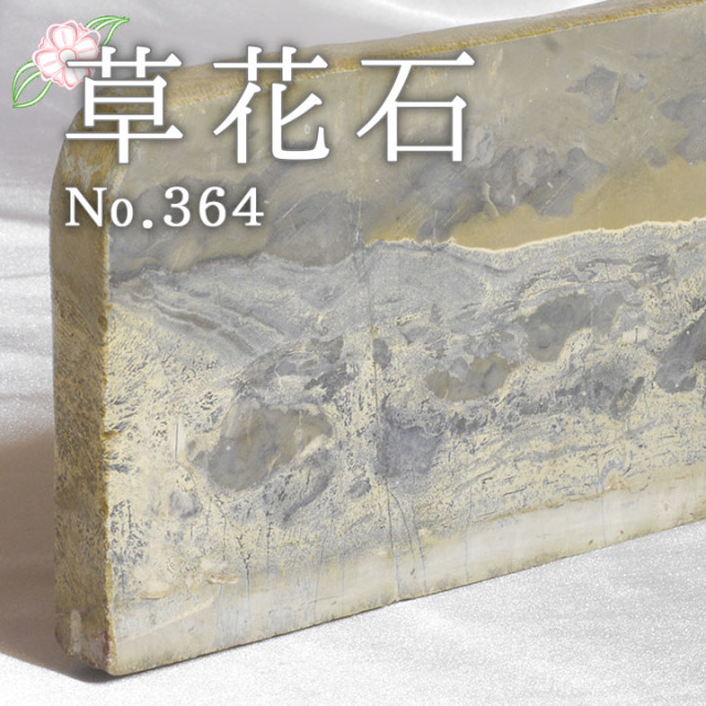 ピクチャーストーン】草花石No.364（観賞用鉱石）