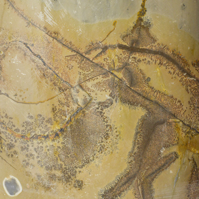 ピクチャーストーン】草花石No.365（観賞用鉱石）