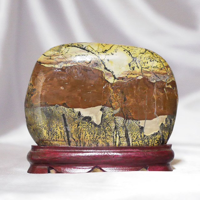 専用 草花石 ピクチャーストーン 鑑賞石 自然石 絵柄 原石 水石 化石 観賞石 ピクチャーストーン】草花石No.375（観賞用鉱石）