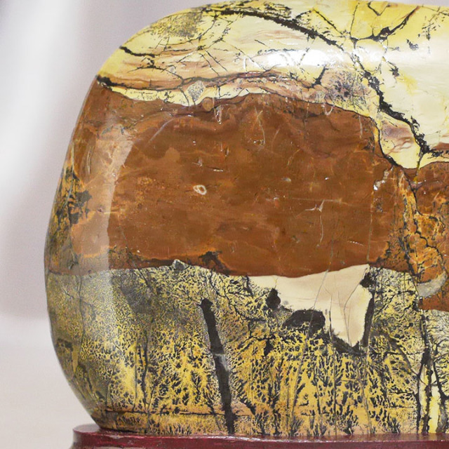 専用 草花石 ピクチャーストーン 鑑賞石 自然石 絵柄 原石 水石 化石 観賞石 ピクチャーストーン】草花石No.371（観賞用鉱石）