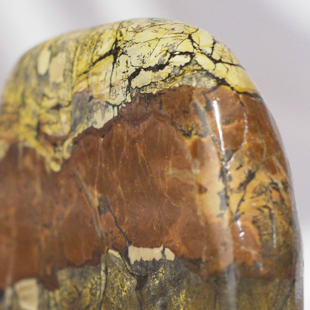 ピクチャーストーン】草花石No.371（観賞用鉱石）