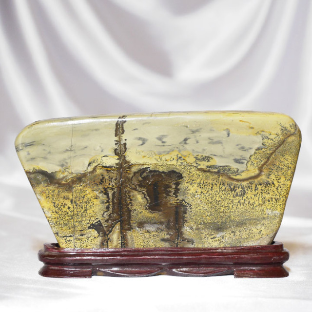 ピクチャーストーン】草花石No.372（観賞用鉱石）