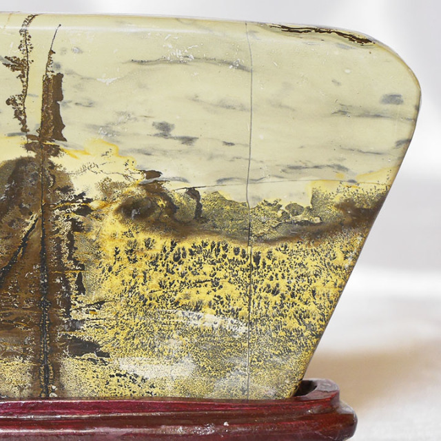 専用 草花石 ピクチャーストーン 鑑賞石 自然石 絵柄 原石 水石 化石